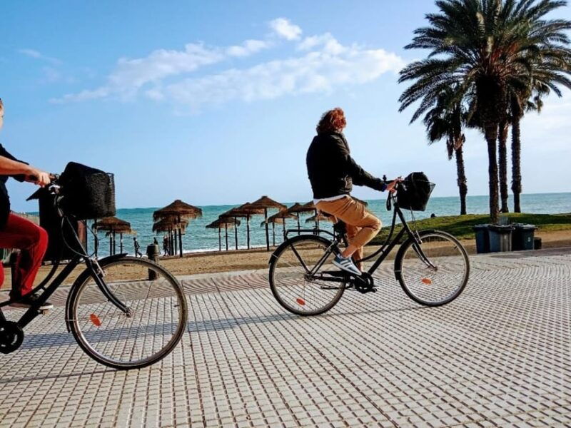 standard-bike-guide-tour-in-malaga-andalucia-spain