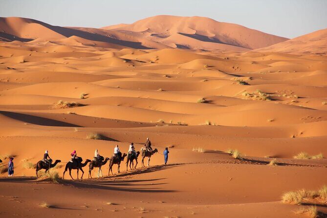 Standard trip in 1 night / 2 days from fez to merzouga - marrakech or back with same transportation fez - Authentic Experiences and Visitor Feedback