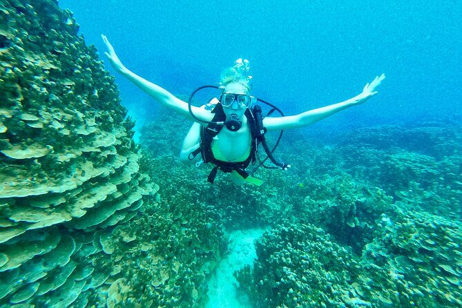 StandUp PaddleBoard Lesson and Experience Scuba Diving Package! - Analyzing the Value
