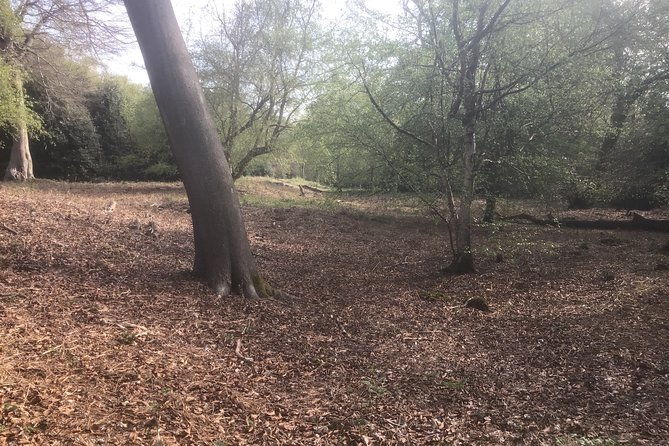 stanmore-circular-private-walking-tour