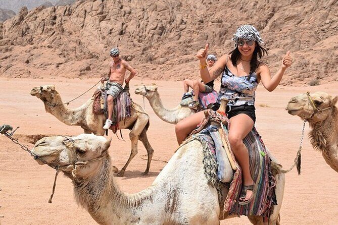 Star Gazing & Bedouin Dinner Trip in Sharm El Sheikh Desert - The Itinerary in Detail