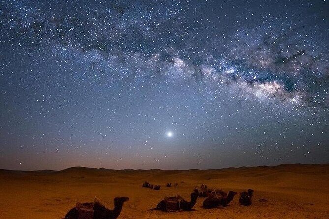 Star Gazing Safari tour By ATV Quad, Bedouin Dinner, telescope - Sharm El Sheikh - What the Tour Entails: A Step-by-Step Breakdown
