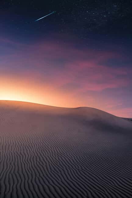 Star Studded Night Desert Safari Doha Qatar - An In-Depth Look at the Desert Night Safari