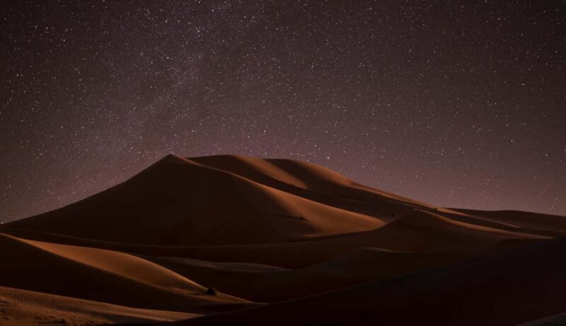 Star Studded Night Desert Safari Doha Qatar - Authentic Guides and Genuine Service