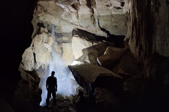 Starburst Cathedral deep inside Milky Way Glowworm Cave - An In-Depth Look at the Milky Way Glowworm Cave Experience