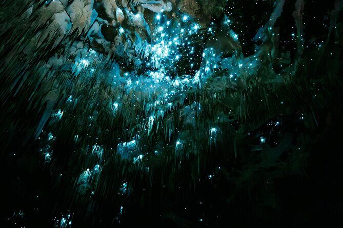 Starburst Cathedral deep inside Milky Way Glowworm Cave - Frequently Asked Questions
