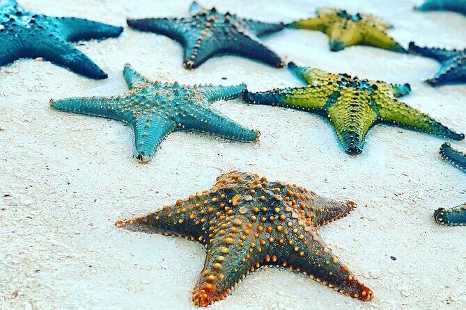 Starfish Adventure; The Rock Restaurant; Kuza Cave, Salaam Cave - FAQs