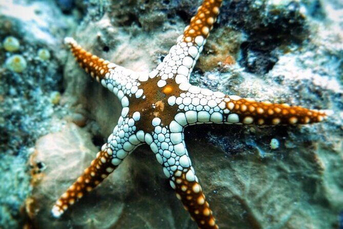 Starfish Adventure; The Rock Restaurant; Kuza Cave, Salaam Cave - Final Thoughts