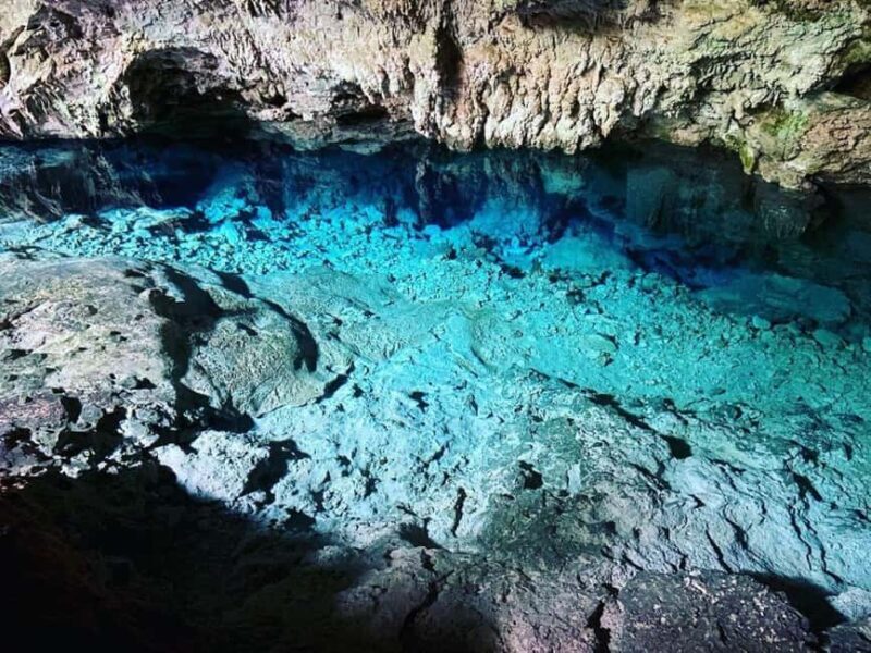 Starfish Tour, Blue Lagoon Snorkeling, The Rock, Paje Beach - An Overview of the Tour Experience