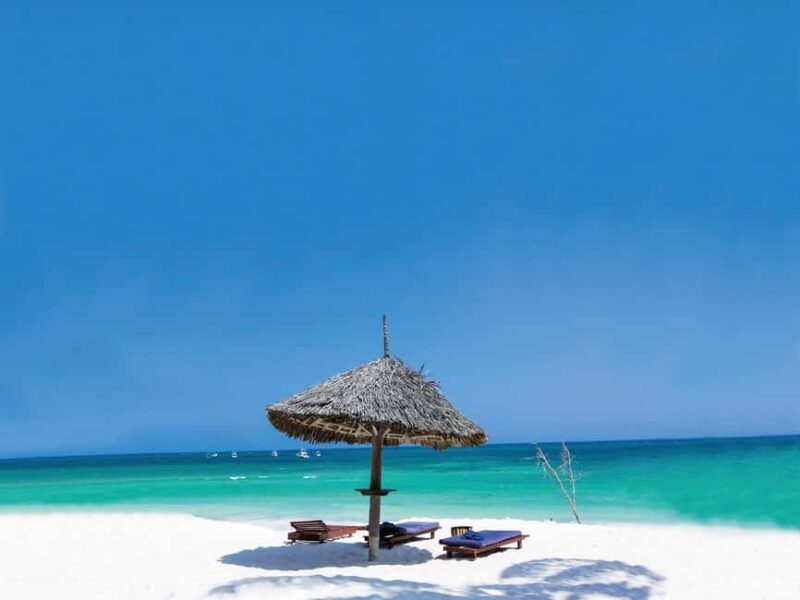 Starfish Tour, Blue Lagoon Snorkeling, The Rock, Paje Beach - Practical Details and Tips