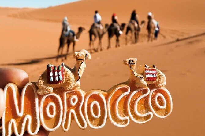 Stargazing and camel ride in the agafay desert - The Return and Value Proposition