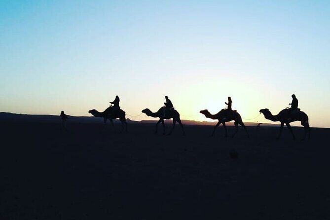 Stargazing and camel ride in the agafay desert - Who Would Love This Experience?