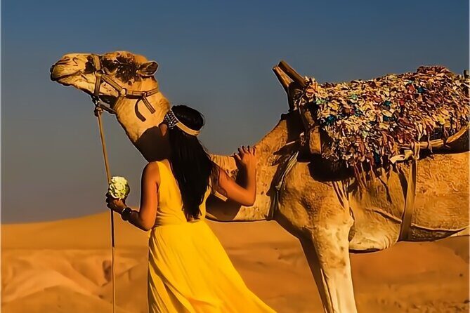 Stargazing and camel ride in the agafay desert - The Sum Up