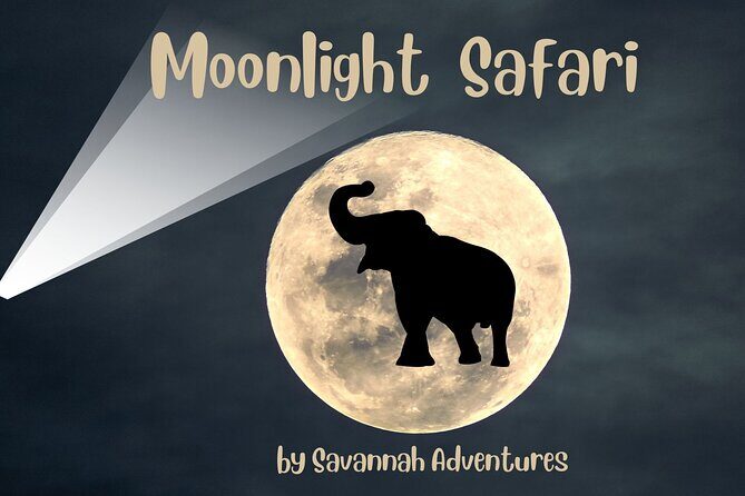 Stargazing and Moonlight Experience - Key Points