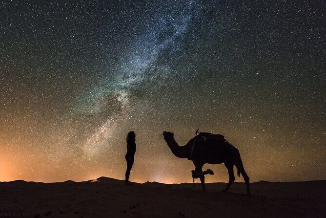 Stargazing Desert Jeep Excursion with Dinner in Hurghada - The Value of This Tour