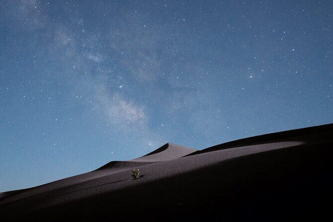 Stargazing in the Desert from Riyadh with Dinner - Who Will Love This Experience?