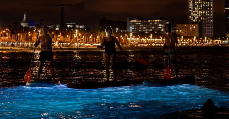 starlight-paddlesurf-during-the-night-in-barcelona