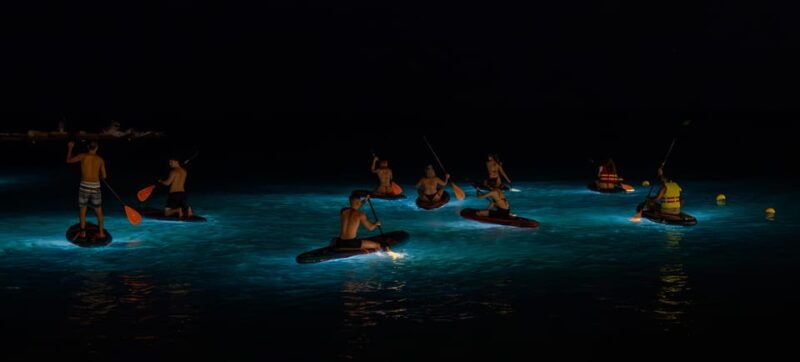 starlight-paddlesurf-during-the-night-in-barcelona