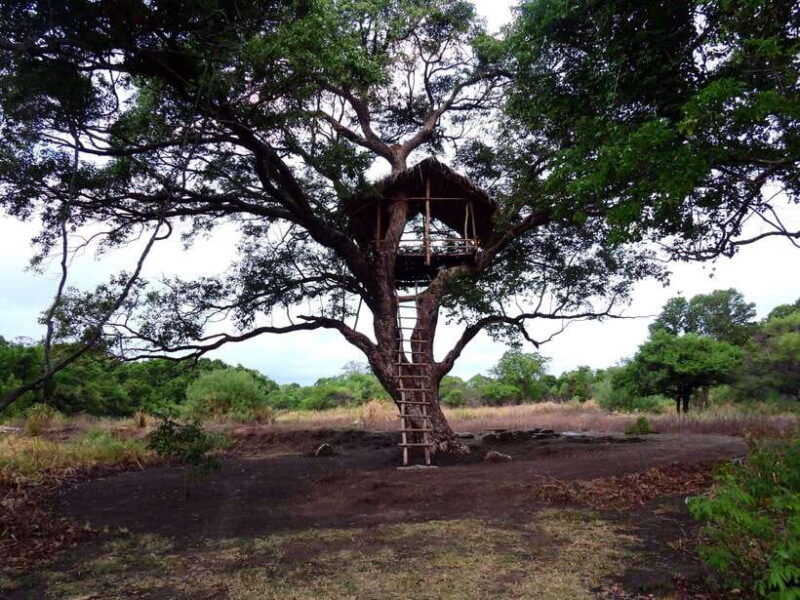 starlit-escape-stargazing-from-a-tree-hut-in-sigiriya