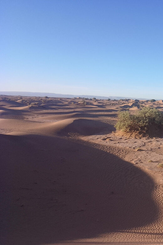 Starry nights at the Majesty of Sahara Desert in Erg chigaga - What’s Included & What Not