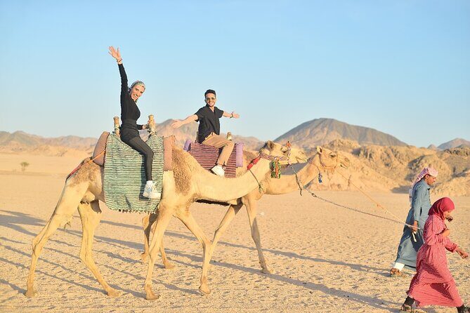Starwatching, Camel Ride and Romantic Dinner in Hurghada Safari - Who Will Love This Tour?
