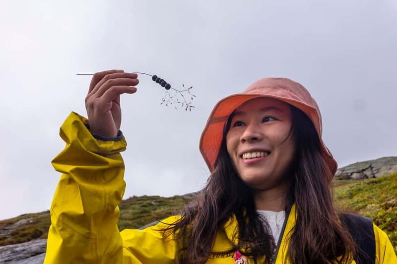 Stavanger: Kjerag Summer Hike with Packed Lunch - Key Points