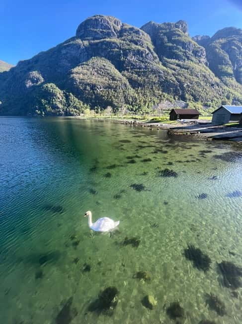 Stavanger: Månafossen Waterfall and Via Ferrata Bouldering - An In-Depth Look at the Tour Experience