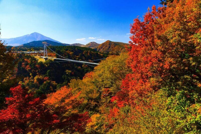 *Stay at Beppu, 2-Day Bus Tour to Takachiho from Fukuoka - FAQ