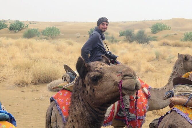 Stay Under The Billions Stars Overnight Camel Safari Tour - A Genuine Look at the Stay Under The Billions Stars Overnight Camel Safari Tour