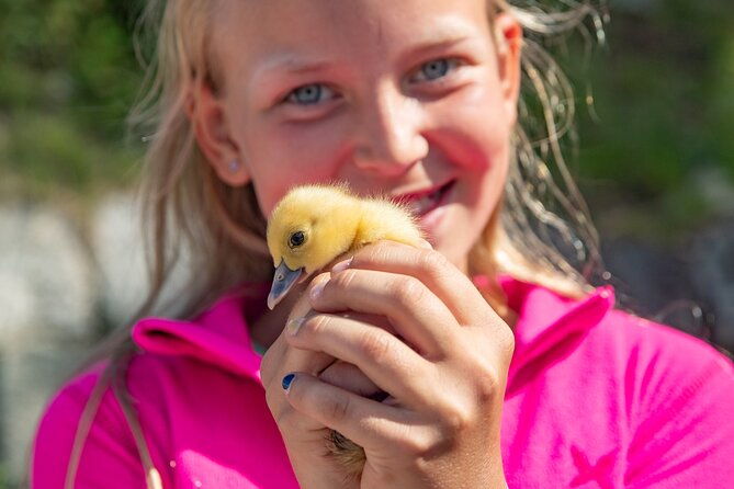 steim-farm-experience-in-vik-norway