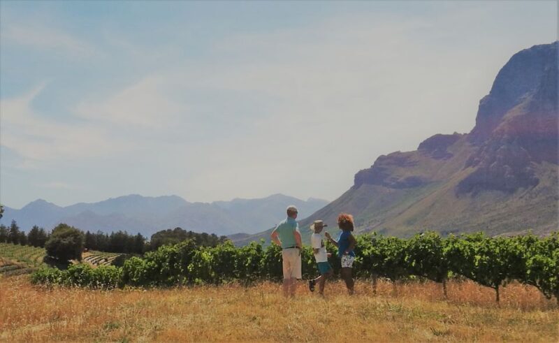 Stellenbosch: 4x4 Winelands Private Experience - What Makes This Tour Special?