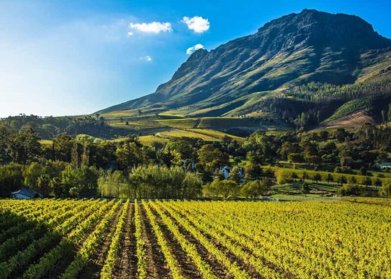 Stellenbosch: All-inclusive Private Wine Tour & Tastings - The Value of This Tour
