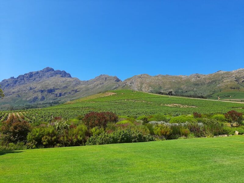 Stellenbosch: Best of the Winelands Private Tour & Tastings - Key Points