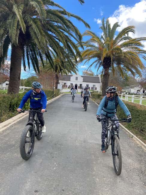 Stellenbosch: Countryside Banhoek valley E-Bike Wine Tour - The Value of the Experience