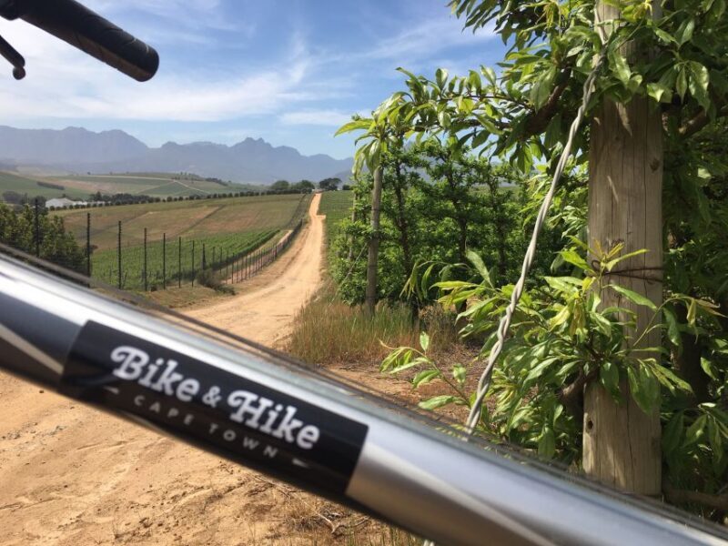 Stellenbosch: Devon Valley Vineyards Bicycle Tour w. Lunch - Key Points
