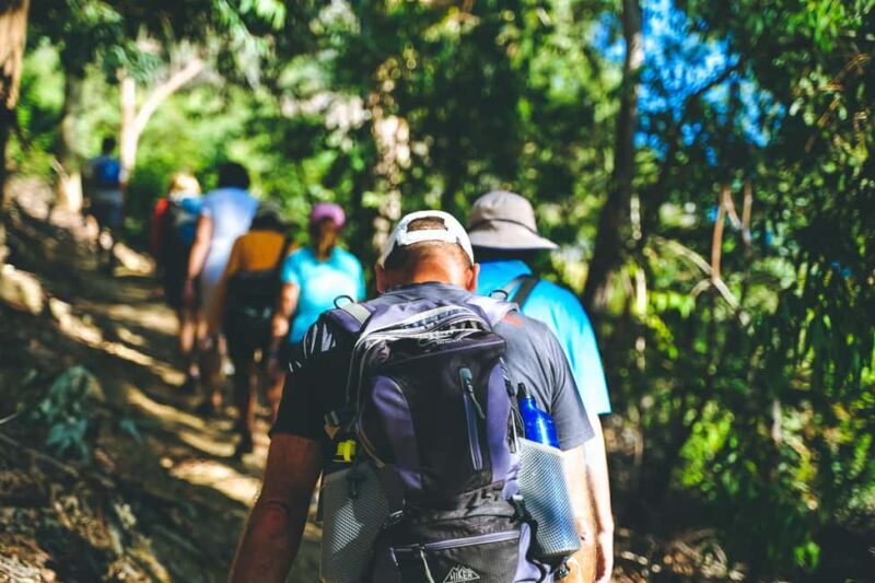 Stellenbosch: Dwarsrivier Silver Mine Hike - Key Points  