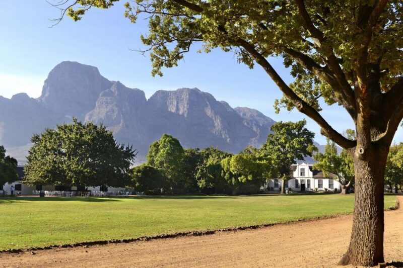 Stellenbosch: Eastern Route Hop-On Hop-Off Wine Tour - Key Points