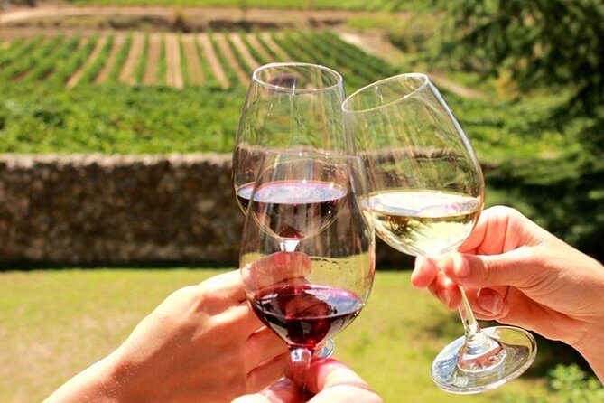 Stellenbosch, Franschhoek and Paarl: Full Day Wine Tour - What’s Included and Why It Matters