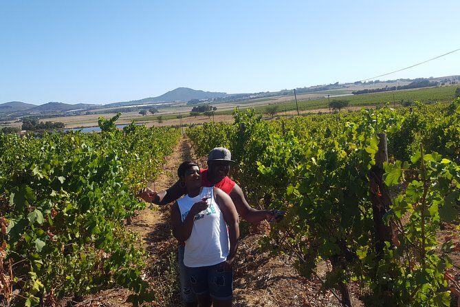 Stellenbosch Franschhoek Full-Day Tour with Cheese Tasting - The Itinerary in Detail