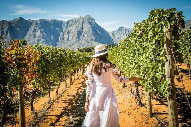 Stellenbosch & Franschhoek Wine Tasting Private Tour incl. Lunch - An In-Depth Look at the Cape Winelands Private Tour