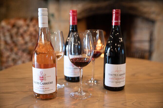 Stellenbosch & Franschhoek Wine Tasting Private Tour incl. Lunch - Who is This Tour Best For?