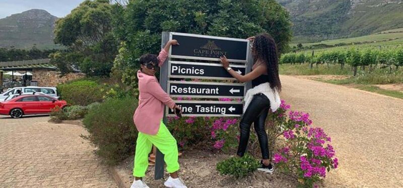 Stellenbosch Giraffe House and Cheetah Outreach with Wine - Final Thoughts: Who Should Consider This Tour?