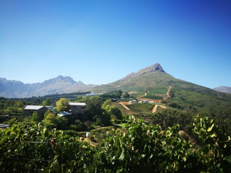 Stellenbosch: Half-Day Guided Nature Hike and Wine Tasting - Exploring the Itinerary: What to Expect