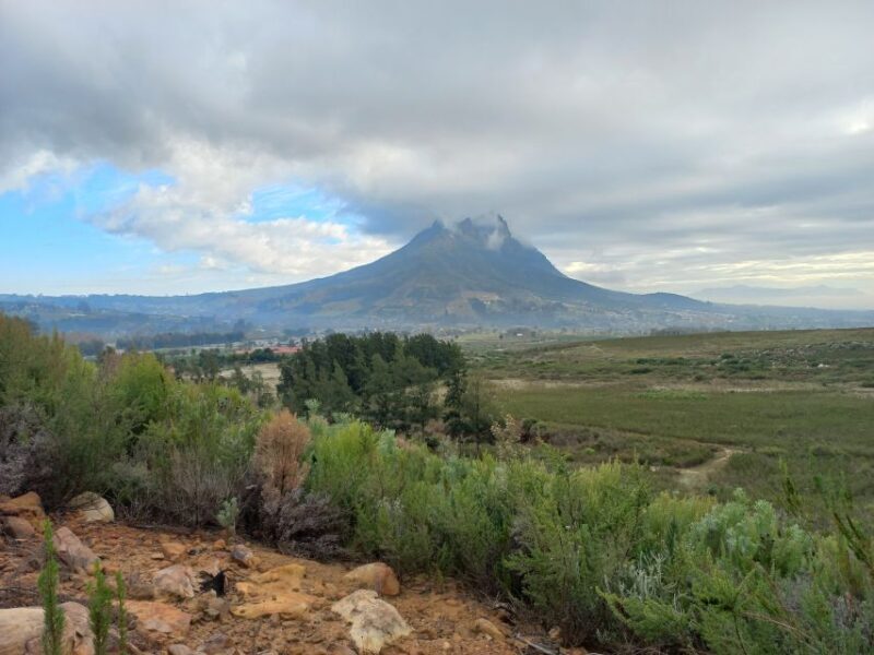 Stellenbosch: Half-Day Guided Nature Hike and Wine Tasting - Why This Tour Offers Great Value