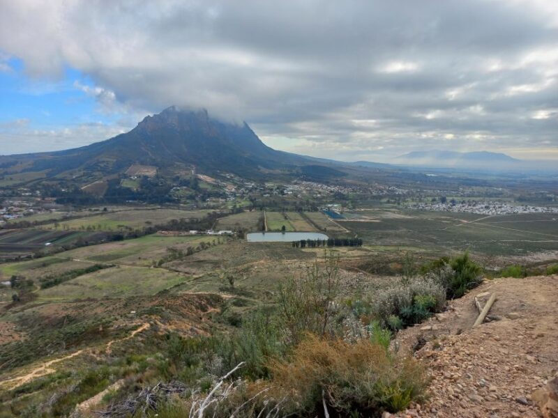 Stellenbosch: Half-Day Guided Nature Hike and Wine Tasting - Final Thoughts: Is It Worth It?