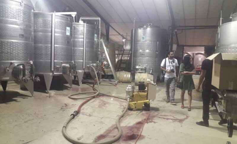 Stellenbosch: Half-Day Wine Tour - Final Thoughts