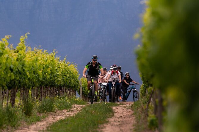 Stellenbosch Half Day Winelands Mountain Bike Tour - What You Can Expect from the Tour