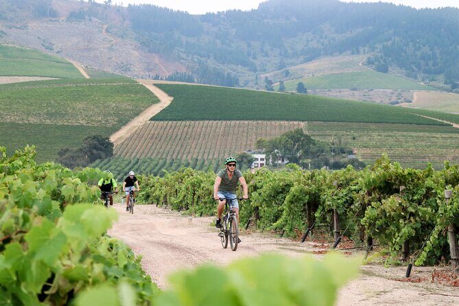 Stellenbosch Half Day Winelands Mountain Bike Tour - Final Thoughts: Is it Worth It?