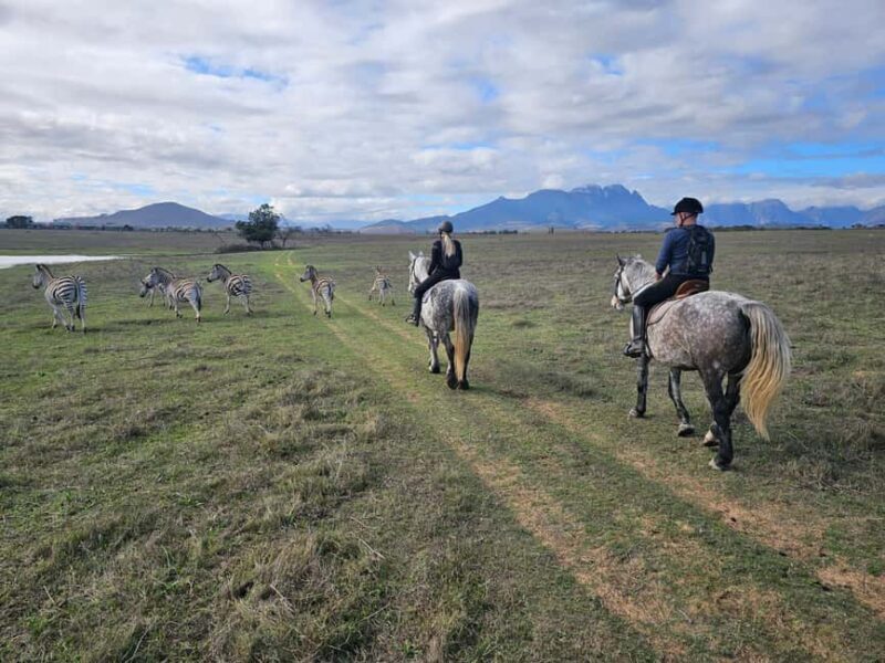 Stellenbosch: Horse Riding Wildlife Safari - Key Points