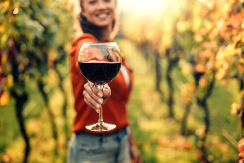Stellenbosch North Guided Wine Safari (Tastings Included) - Key Points